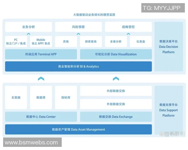 大数据驱动的风险控制与商业智能创新应用探索与实践分析